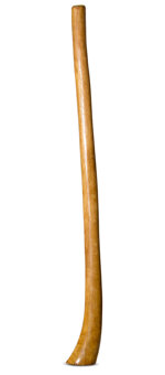 Gloss Finish Flared Didgeridoo (TW1121)